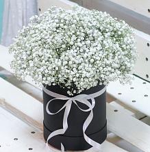 Цветочная композиция из Гипсофила в шляпной коробке в Кули
